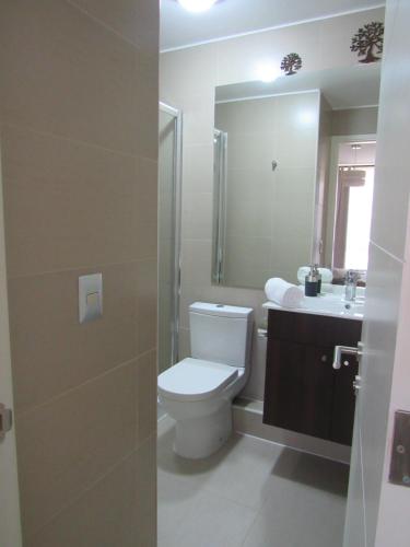 普孔Departamento en Pucon的一间带卫生间、水槽和镜子的浴室