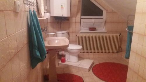 Spišské VlachyUbytovanie na Spiši的一间带水槽和卫生间的小浴室