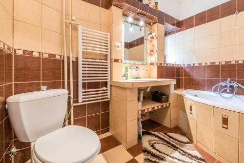什特尔巴Privát u Bartolomeja的一间带卫生间、水槽和镜子的浴室