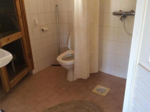科林基拉Lomakoli rivi4的浴室配有带浴帘的卫生间