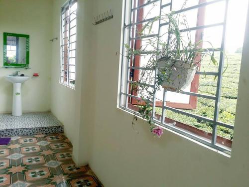 木州县莫克舟民宿的一间带水槽的浴室和一个带盆栽的窗户