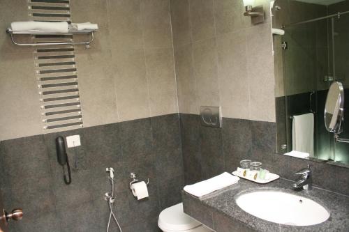 KāndūrSerene Sriperumbudur的一间带水槽、卫生间和镜子的浴室