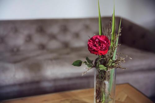 赖歇诺Romantik Hotel Schloss Reichenow的一张桌子上花瓶里的一个红玫瑰