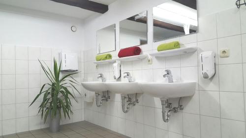 阔克威兹Radlerhof Spreewald的浴室设有两个水槽和盆栽植物