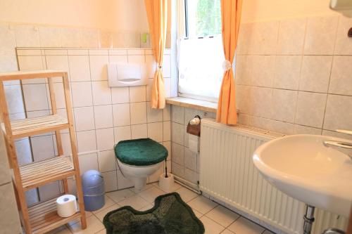 PatzigApartments Rügen Patzig的浴室配有绿色卫生间和水槽。