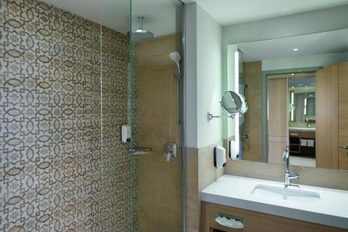 克孜拉阿奇TUI蓝棕榈园度假村的带淋浴、盥洗盆和镜子的浴室