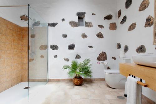 蒂亚斯Caserío Leandro II的带淋浴的浴室和植物