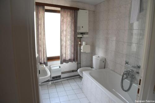 斯塔沃洛L'Auberge Saint Remacle的带浴缸、卫生间和盥洗盆的浴室