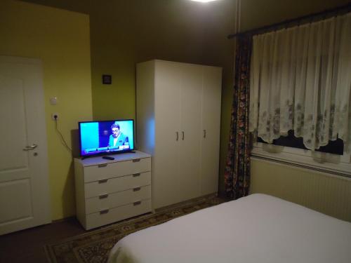 弗尔尼亚奇卡矿泉镇斯维特拉娜旅馆的一间卧室配有一张床,梳妆台上配有电视