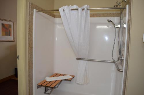 怀特马什巴尔的摩江山套房旅馆的带淋浴和浴帘的浴室