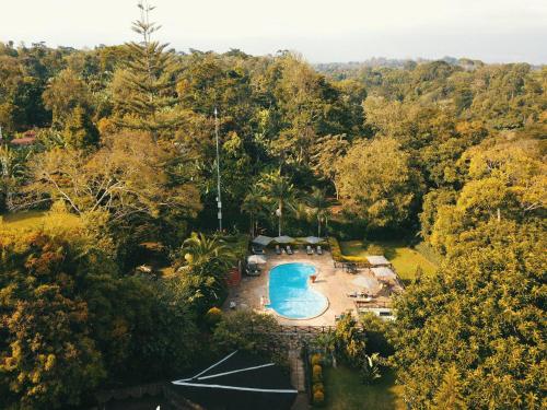 莫希Aishi Machame的森林中游泳池的顶部景色