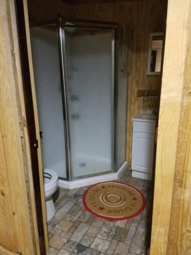 斯泰茨伯勒Red Fern Plantation Lodge的带淋浴和卫生间的浴室