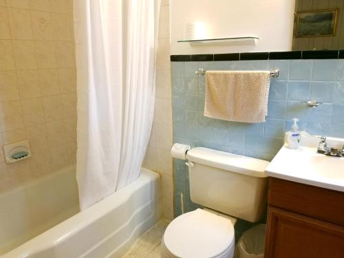 Prattsville布莱克拜尔汽车旅馆的浴室配有卫生间、浴缸和水槽。