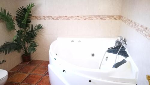 埃尔博斯克Casa La Vega的一间带水槽和卫生间的浴室