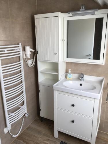 Zgornji BrnjikApartments Avio的浴室设有白色水槽和镜子