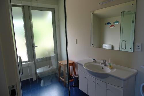 布伦海姆Korohi Vineyard BnB的一间带水槽、镜子和卫生间的浴室