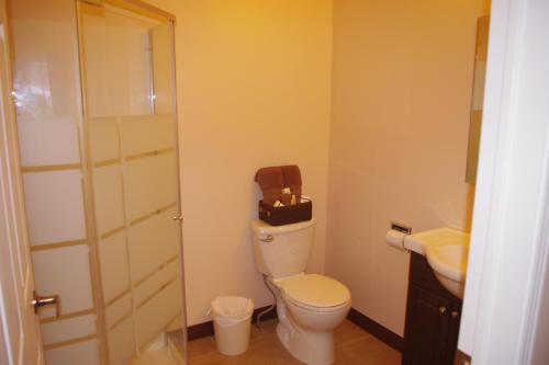 泰道沙克Auberge La Tanière的一间带卫生间和水槽的浴室