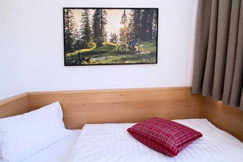 索内纳尔佩·纳斯费尔德阿尔卑斯露斯纳斯费尔德公寓的一张带红色枕头的床和墙上的照片