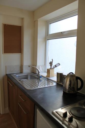 ImminghamHawthorn House的带水槽的厨房台面和窗户