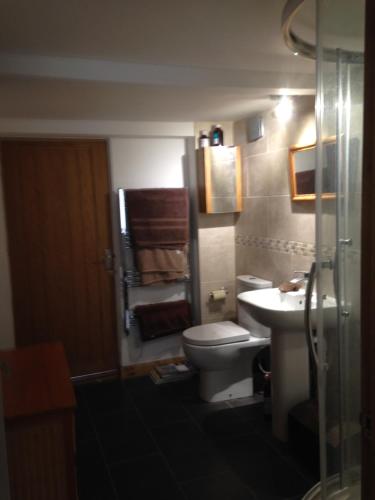 ImminghamHawthorn House的一间带卫生间和水槽的浴室