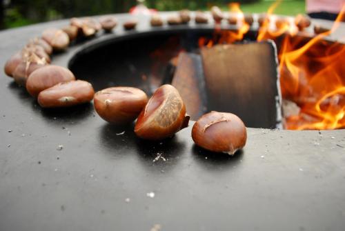 克拉尼斯卡戈拉Country House Trata的一群蘑菇在烤架上燃烧着火焰