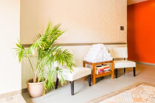 威廉斯塔德Bed & Bike Curacao的客厅配有两把椅子和植物