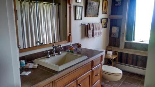 BarreLodge at Millstone Hill的一间带水槽、卫生间和镜子的浴室