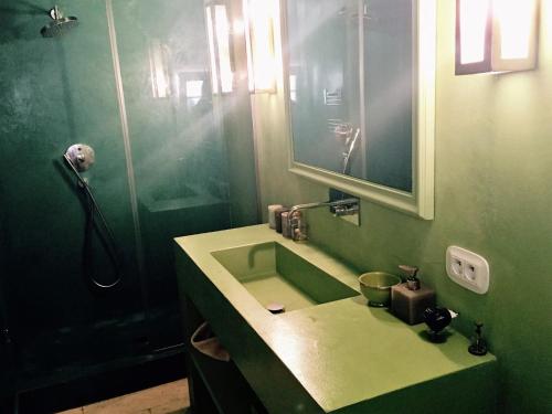 圣特罗佩Maison RR的绿色浴室设有水槽和淋浴