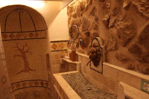 罗马吉达吉迪诺住宿加早餐旅馆的带淋浴的浴室(带石墙)