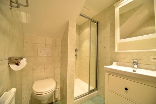 魏森湖Haus Kalt的带淋浴、卫生间和盥洗盆的浴室