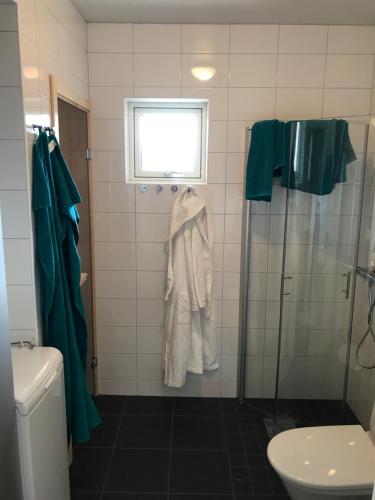 赫马万Vid Gondolen的带淋浴和卫生间的浴室以及窗户。