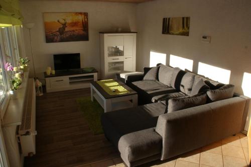 伦斯泰格地区施米德费尔德Ferienhaus Feldmann的客厅配有两张沙发和一台电视机
