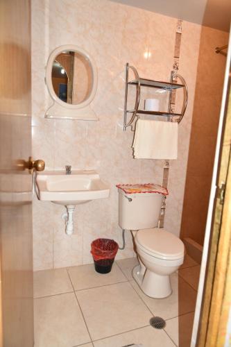 胡利亚卡Los Apus Mayaki的一间带卫生间、水槽和镜子的浴室