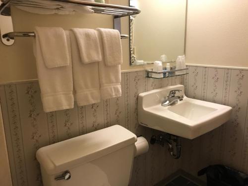 科迪亚克Shelikof Lodge的浴室配有卫生间、水槽和毛巾。