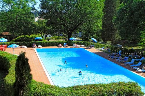 锡耶纳锡耶纳科勒维德露营酒店的一群人在游泳池游泳
