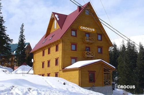 德拉格布拉特Crocus的雪中一座大型木制建筑