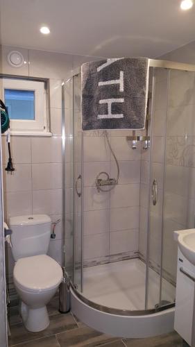 BiesiekierzNoclegi u Oksany的带淋浴、卫生间和盥洗盆的浴室
