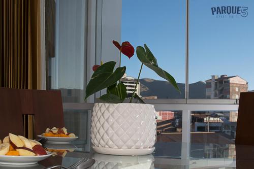 库斯科帕克5号公寓的花瓶,有盆栽植物坐在桌子上