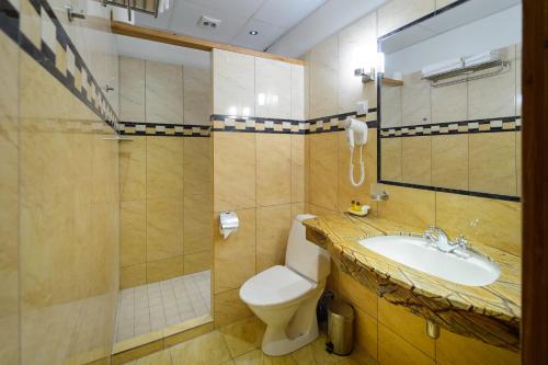 沃鲁拉杜瑞酒店的一间带卫生间和水槽的浴室
