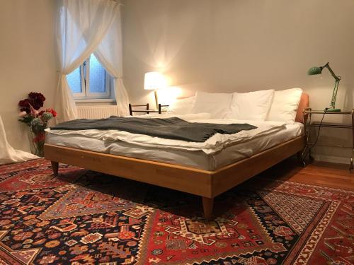 维也纳毕蔓仁塔尔1号公寓 的卧室内的一张床位,卧室内有地毯和窗户