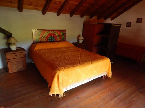 卡皮亚德尔德尔蒙特Aire del Cerro的一间卧室配有一张床,铺有木地板
