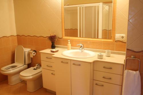 奥利奥Casa Rural Erretzabal Txiki的一间带水槽、卫生间和镜子的浴室