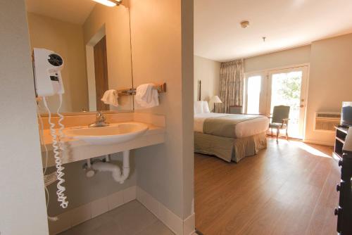 PinevillePine Mountain State Resort Park的一间带水槽的浴室和一间带一张床的卧室