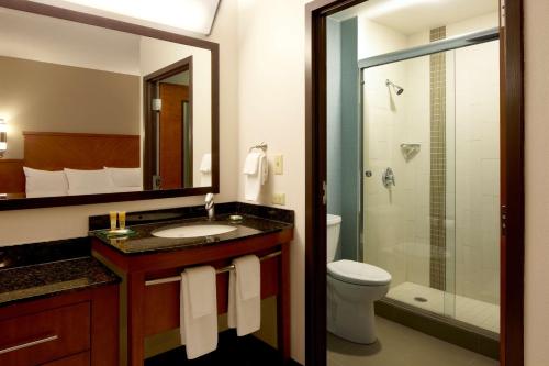 隆巴德芝加哥 - 隆巴德/奥克布鲁克凯悦嘉轩酒店的一间带水槽、卫生间和淋浴的浴室