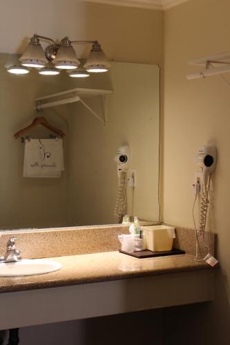 圣盖博圣盖博花园旅馆的浴室的柜台设有水槽和镜子