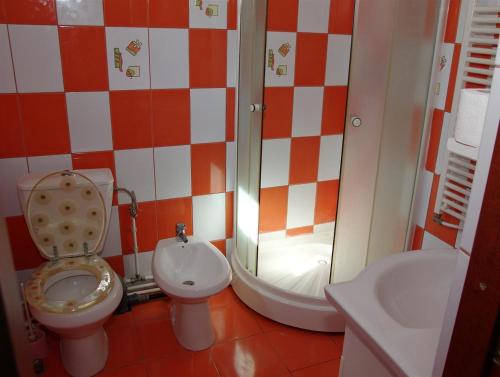 特尔古尼亚姆茨Pensiunea ,,La struti"的浴室配有卫生间、淋浴和盥洗盆。