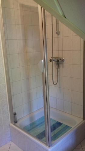 奥茨塞巴德·迪尔哈根Ferienwohnung in Boddennähe的浴室里设有玻璃门淋浴