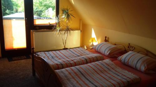 奥茨塞巴德·迪尔哈根Ferienwohnung in Boddennähe的带窗户的客房内的两张床