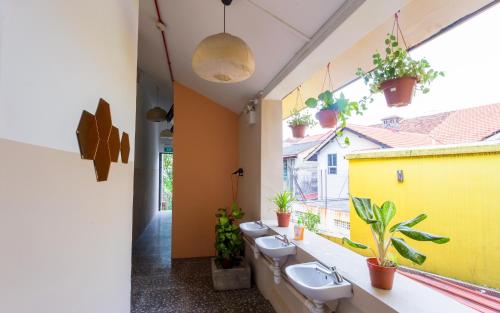 新加坡蜂巢新加坡旅馆 的浴室里种植了一排尿道和盆栽植物
