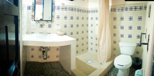 Hotel Villa de Flores的一间浴室